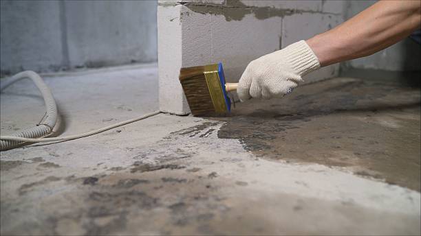Crawl space vapor barrier installation in Albany, MN